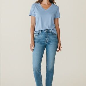 Women's Madewell Softfade V-Neck Tee In Light Blue Size Small
